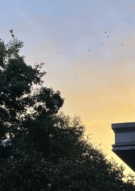 什么大学才能考研究生