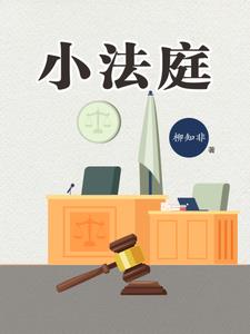 小法庭复审是谁来审查