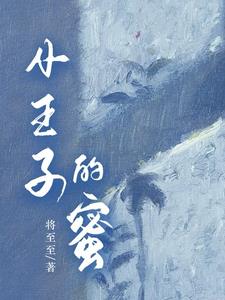 小王子的玫瑰花什么意思